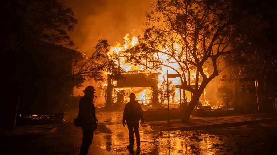 Putra Trump Menyalahkan Ukraina atas Kebakaran yang Melanda California: Pihak Berwenang Tidak Mampu Mengatasi Bencana Tersebut