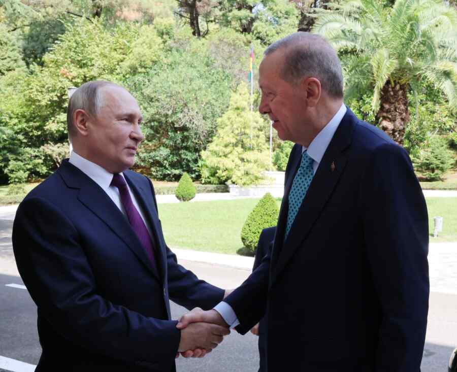 Putin Memberi tahu Erdogan Bagaimana Pertemuannya dengan Trump di Alaska Berlangsung