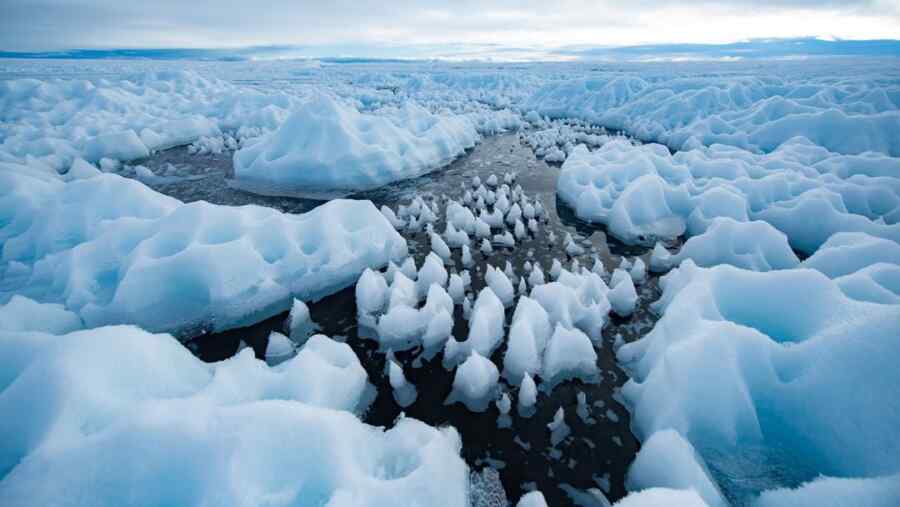 Greenland Hanyalah Alat: Apa Sebenarnya yang Diinginkan Trump?