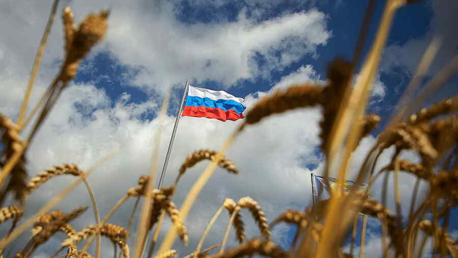 Eropa Mengalami Masa-masa Tersulitnya. Gandum Telah Menjadi Minyak Baru Rusia